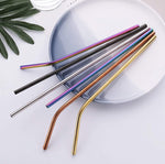 image-of-Turtle-Safe-Drinking-Safe-Zero-Waste-Eco-Friendly-Reusable-Steel-Straw-shop-at-1oakJewelry.com